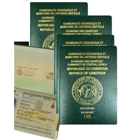 Cameroun Désormais possible d obtenir un passeport dans heures Africa Hot News