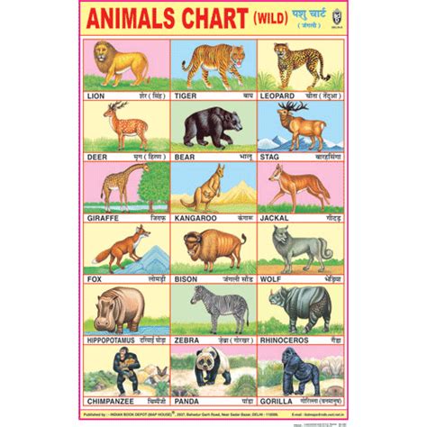 Animals Chart Wild Chart Size 50 X 75 Cms Education Poster