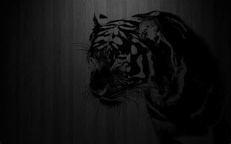 Tiger Wallpaper 4k Black