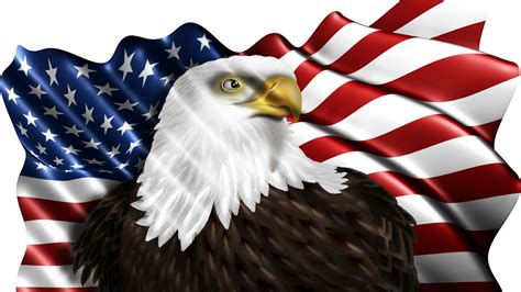 American Eagle Flag Sticker Symbol Of The Americans Wallpaper Hd For