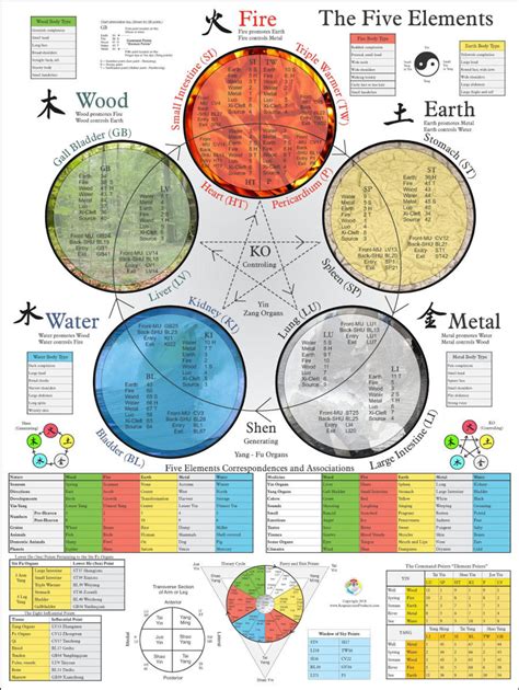 Five Elements Acupuncture Poster 18 X 24 Etsy Traditional Chinese