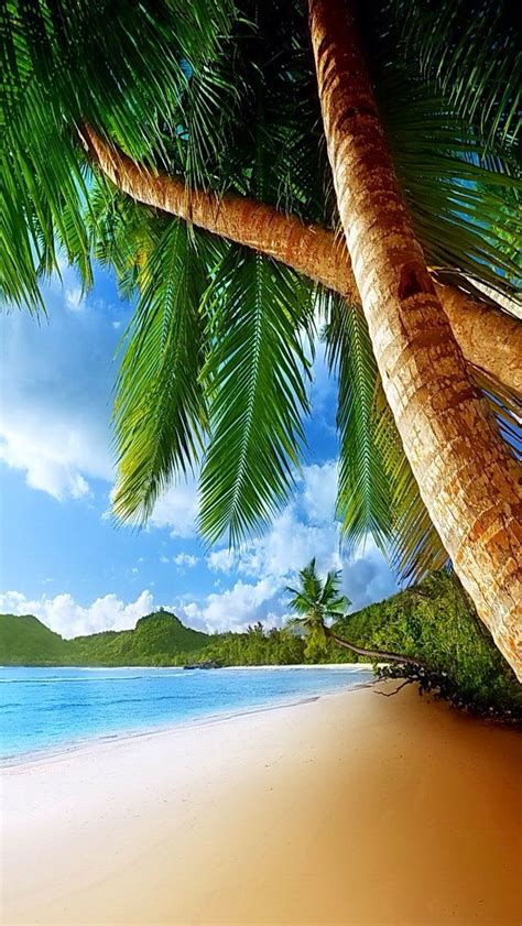Iphone Wallpaper Background Tropical Tropics Paradise Seascape