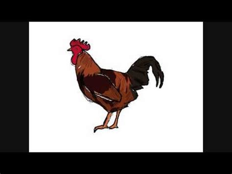 Emblème de la ferme de poulet sur fond blanc. Dessin de coq - Comment Dessiner - YouTube