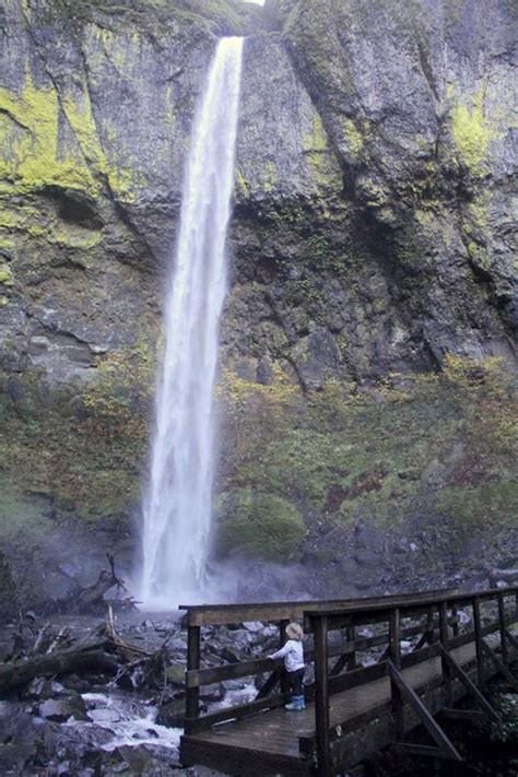 Easy Hike To Elowah Falls Is A Gem Of The Columbia Gorge The Seattle
