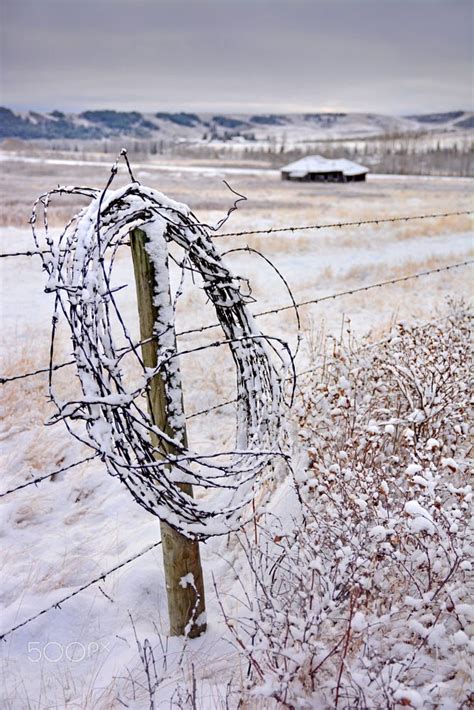Winter At Glenbow Ranch Southern Alberta By Frank King On 500px