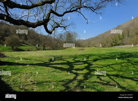 Tree Casting Shadow Hi Res Stock Photography And Images Alamy