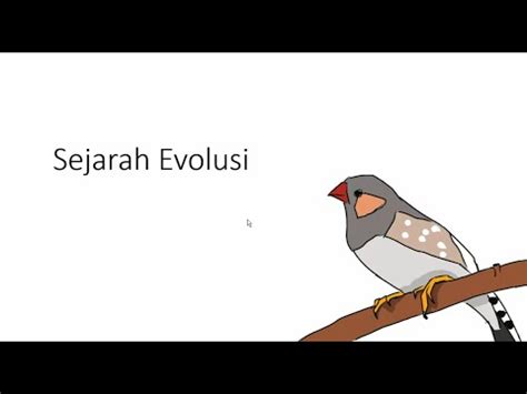 Pertemuan 1 Sejarah Evolusi YouTube