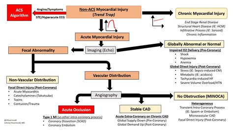 Non Acs Myocardial Injury Elevated Troponin Differential Grepmed