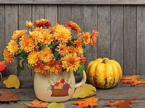 Autumn Mums Stock Image Image Of Fall Nature Bouquet 21757393
