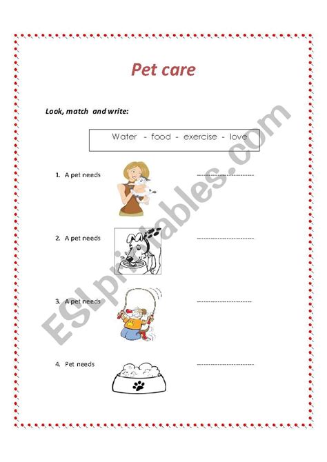 Pet Care Esl Worksheet By Roxya