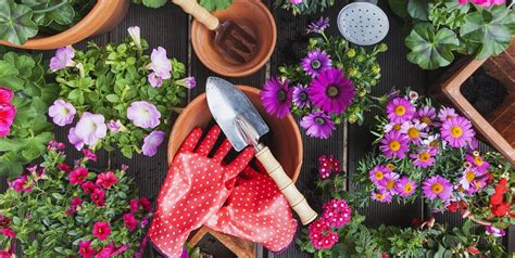 Special gift idea for beginner gardeners. 20 Best Garden Accessories - Cute Gardening Tools & Supplies