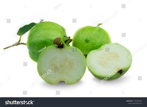 Fresh Seedless Guava Fruit Leaf Half Stock Photo Edit Now 1741465055