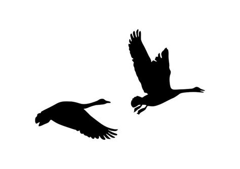 Pair Of Flying Geese Silhouette Vector Silhouettes Flying Geese