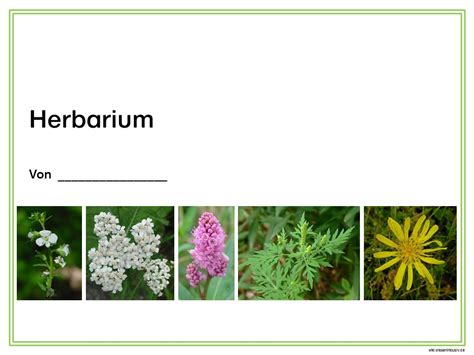Herbarium Deckblatt Vorlage Zum Ausdrucken