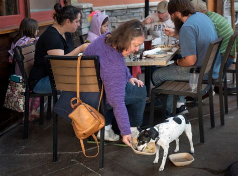 6 best restaurants with dog-friendly patio dining in the South Bay