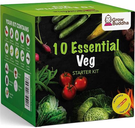 Indoor Garden Kit Vegetable Seeds Kit 10 Varieties Of Etsy Uk