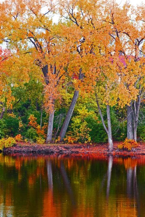 Free Images Landscape Water Nature Forest Outdoor Branch Cold