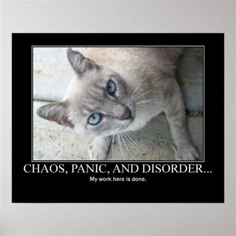 Chaos Panic And Disorder Cat Poster Zazzle