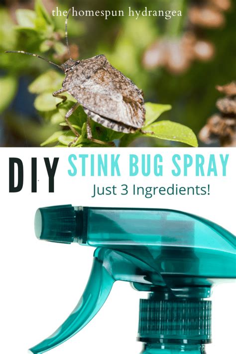 Homemade Bug Spray Dish Soap My Bios