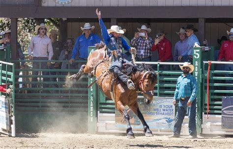 Tribute To 100th Rowell Ranch Rodeo — Castro Valley Forum