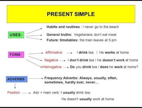9 sınıf simple present tense aynı cümleden olumlu olumsuz soru