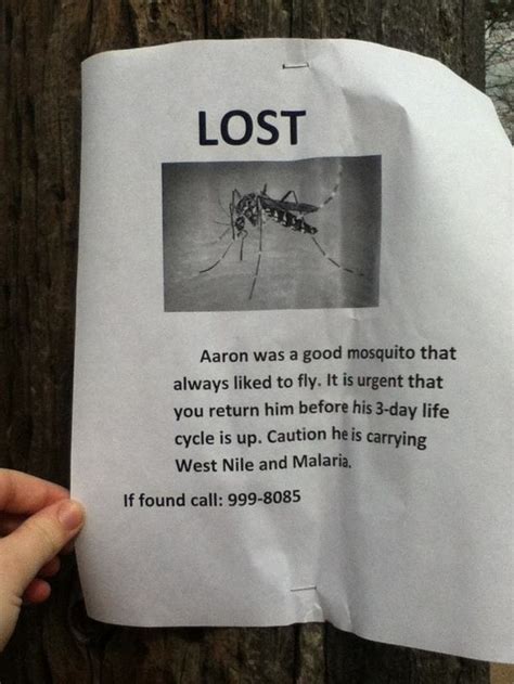 21 Funny Lost And Found Signs Lost And Found Funny Signs Hilarious