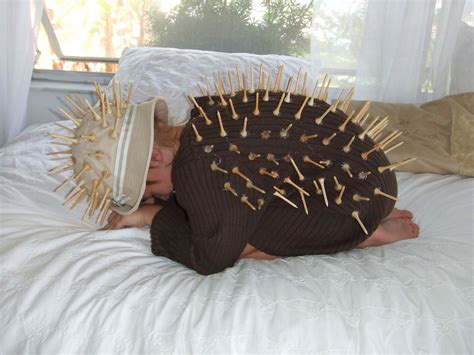 Maybe you would like to learn more about one of these? Porcupine Costumes Related Keywords & Suggestions ...
