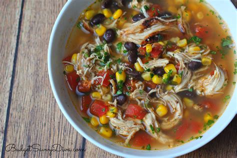 Destined for every picnic you're ever invited to from now on. The BEST Chicken Soup Ever Recipe - Budget Savvy Diva