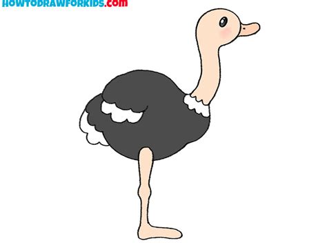 How To Draw An Ostrich Easy Drawing Tutorial For Kids