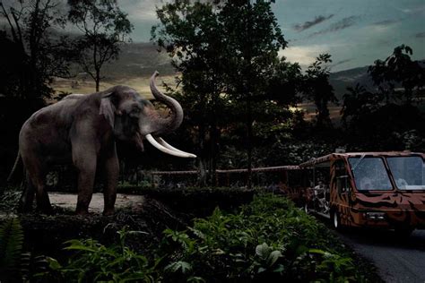 Experience The Adventure Of Night Safari In Singapore 2023