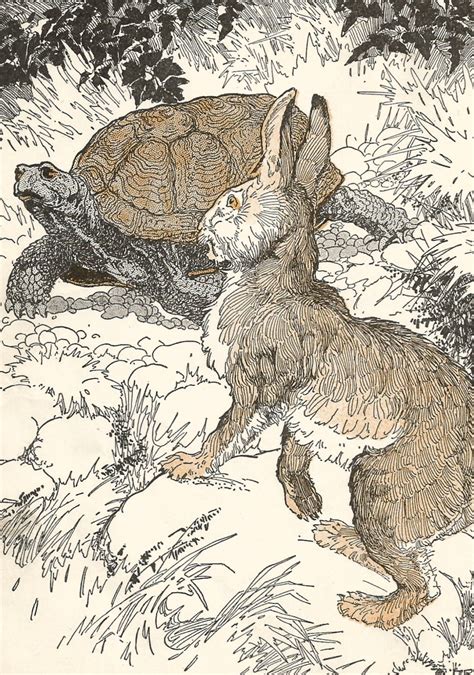 Vintage Childrens Storybook Art Illustration Tortoise And Hare Digital