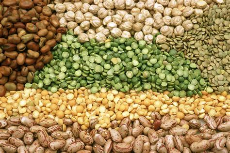 legumes and whole grains health benefits source of amino acids