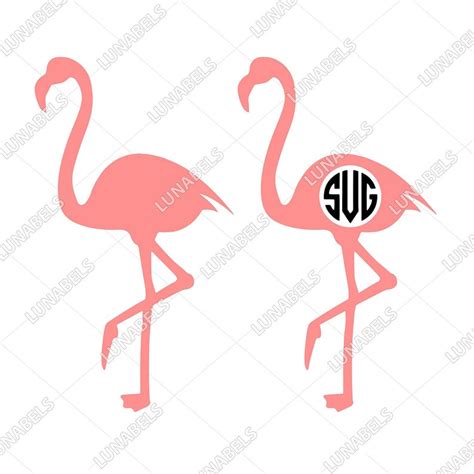 Flamingo Svg Summer Svg Beach Svg Flamingo Silhouette Zoo Etsy