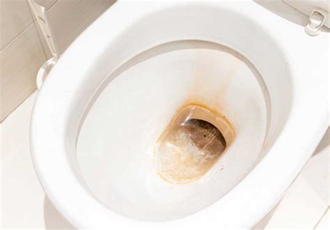 How To Get Rid Of Brown Stains In Toilet Bowl Toilet Consumer