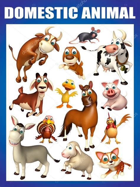 Domestic Animals Chart | Mega Wallpapers