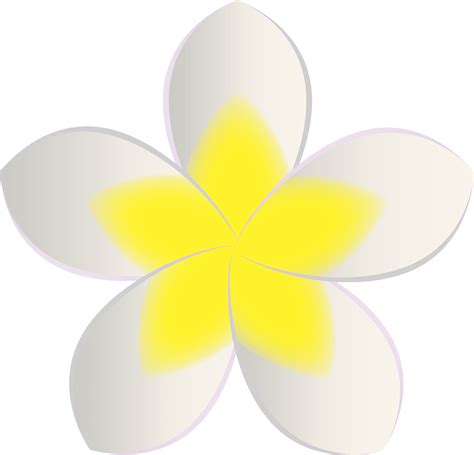 Plumeria Png Clip Art Best Web Clipart Images And Photos Finder