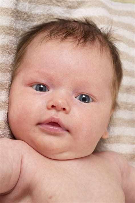 Newborn Baby Portrait Stock Image Image Of Little Striped 18270145