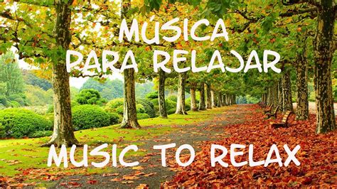 M Sica Para Relajar La Mente El Cuerpo Y El Alma Music To Relax The