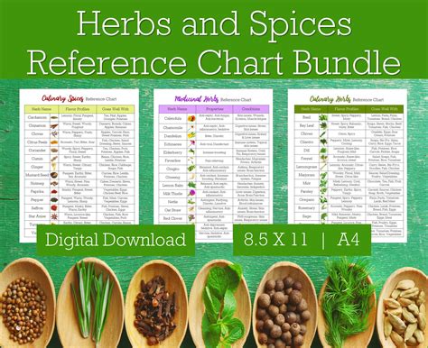 Herbs And Spices Reference Chart Bundle Spices And Herbs Etsy Australia