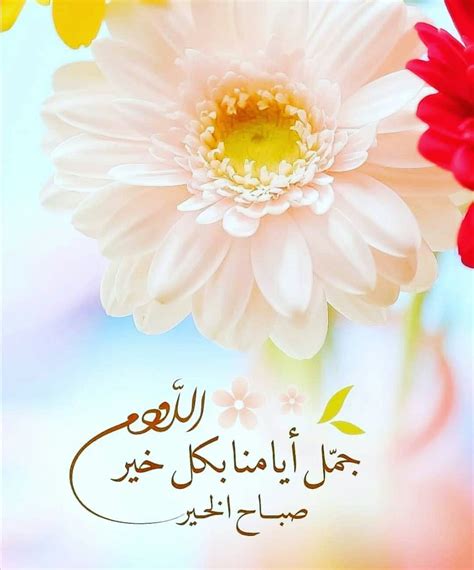 Pin By الصحبة الطيبة 🌹 On صباحيات Morning Greeting Good Morning Greetings Good Morning Arabic