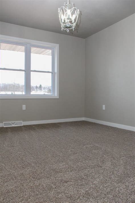 Best carpet colors for gray walls: Gray Plush Carpet | Bedroom carpet colors, Grey walls and ...