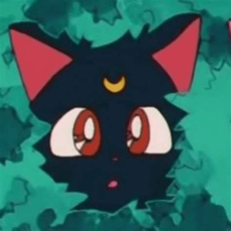 Matching Pfp Sailor Moon Cat Anime Best Friends Friend Cartoon