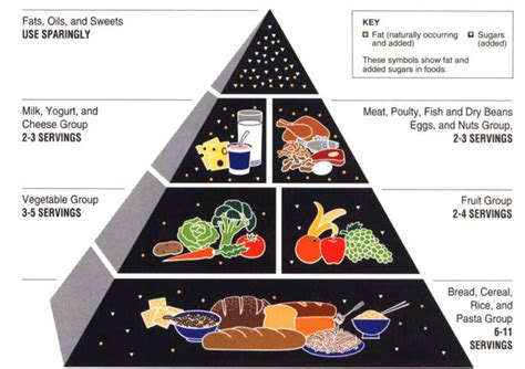 The Food Guide Pyramid A Guide To Daily Food Choices Source Us