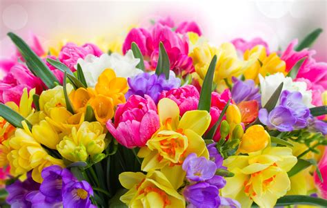 Beautiful Big Bouquet Of Spring Flowers Wallpapers And