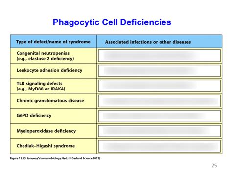 Immunodeficiency Diseases Diagram Quizlet