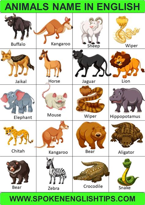 An Animal Name In English With Pictures Of Different Animals And Their