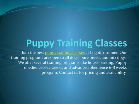 Puppy Training Classes By Lagotto Trainer Issuu
