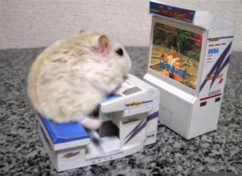 Gaming Mouse Rcursedimages