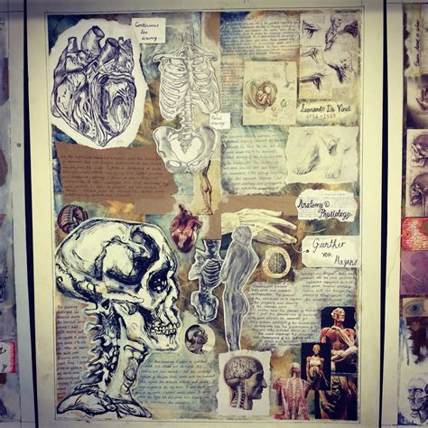 Anatomy For Artists Book Ideas Prestastyle