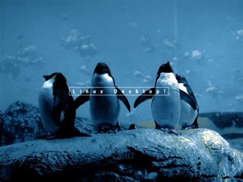 Download 45 Awesome Linux Wallpapers
